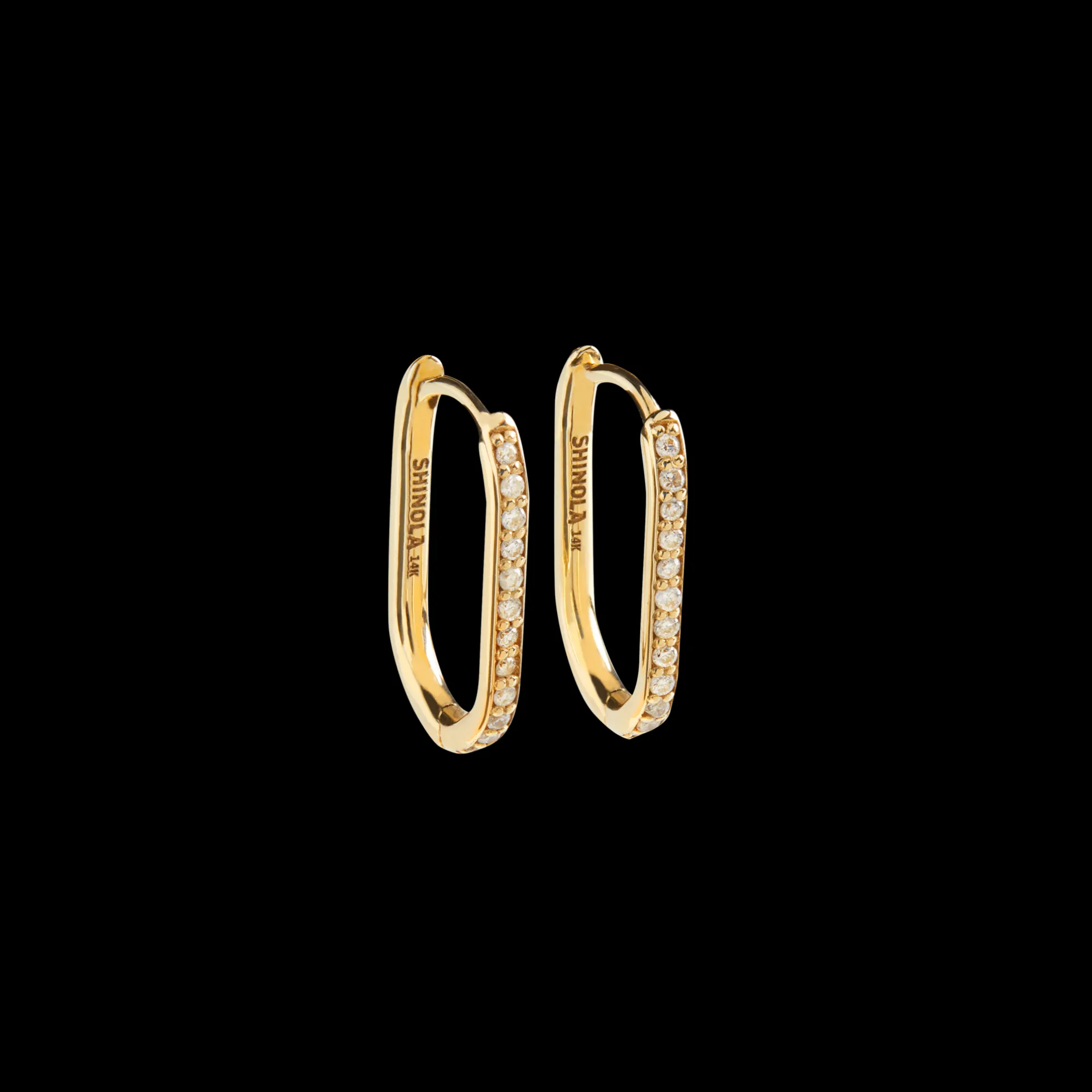 Diamond Oval Charm Hoop