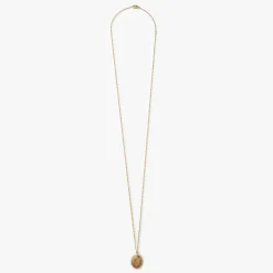 Diamond Pave Petoskey Necklace