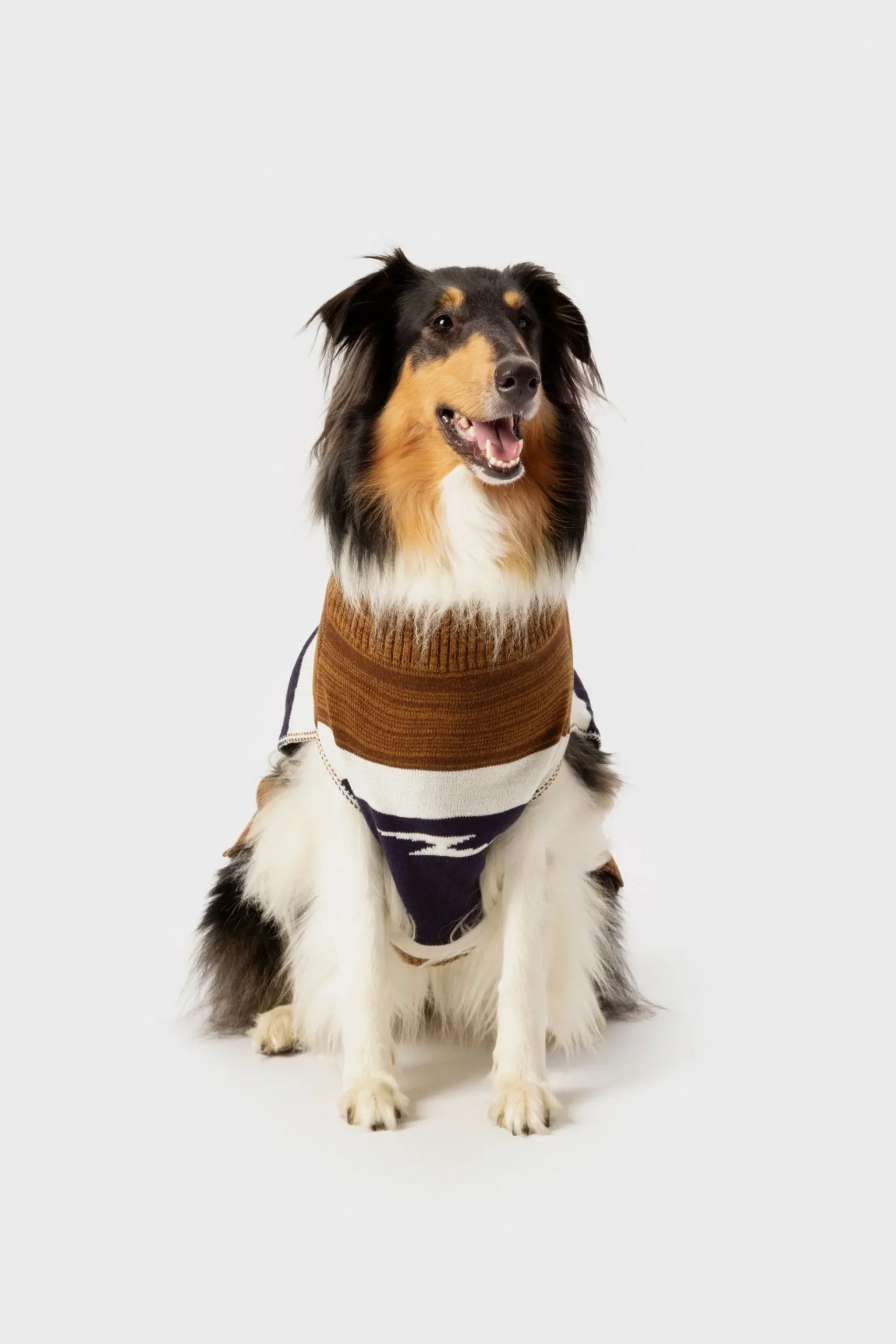 Dog Sweater